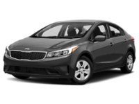 2017 Kia Forte 4dr Sdn Auto LX Urban Grey Metallic  Shot 31
