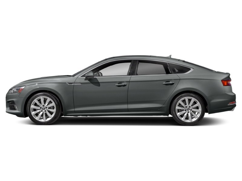 2019 Audi A5 45 Technik Monsoon Grey Metallic  Shot 5