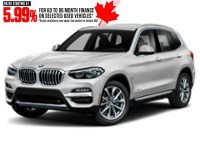 2021 BMW X3 xDrive30i Sports Activity Vehicle Mineral White Metallic  Shot 7