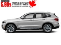 2021 BMW X3 xDrive30i Sports Activity Vehicle Mineral White Metallic  Shot 9