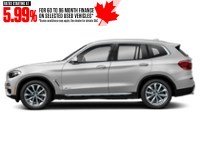 2021 BMW X3 xDrive30i Sports Activity Vehicle Mineral White Metallic  Shot 9