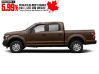 2018 Ford F-150 XL 4WD SuperCrew 5.5' Box Stone Grey  Shot 5