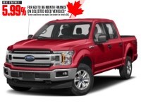 2019 Ford F-150 XLT 4WD SuperCrew 5.5' Box Race Red  Shot 1