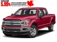 2019 Ford F-150 XLT 4WD SuperCrew 5.5' Box Vermillion Red  Shot 13