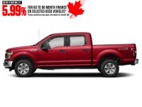 2019 Ford F-150 XLT 4WD SuperCrew 5.5' Box Race Red  Shot 3