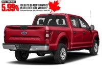 2019 Ford F-150 XLT 4WD SuperCrew 5.5' Box Race Red  Shot 2