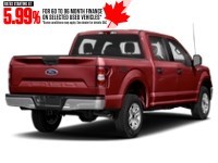 2019 Ford F-150 XLT 4WD SuperCrew 5.5' Box Ruby Red Metallic Tinted Clearcoat  Shot 8