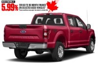 2019 Ford F-150 XLT 4WD SuperCrew 5.5' Box Vermillion Red  Shot 18