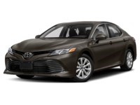 2019 Toyota Camry LE Auto Brownstone  Shot 4
