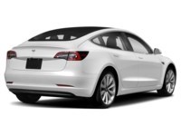 2020 Tesla Model 3 Standard Range Plus RWD Pearl White Multi-Coat  Shot 6
