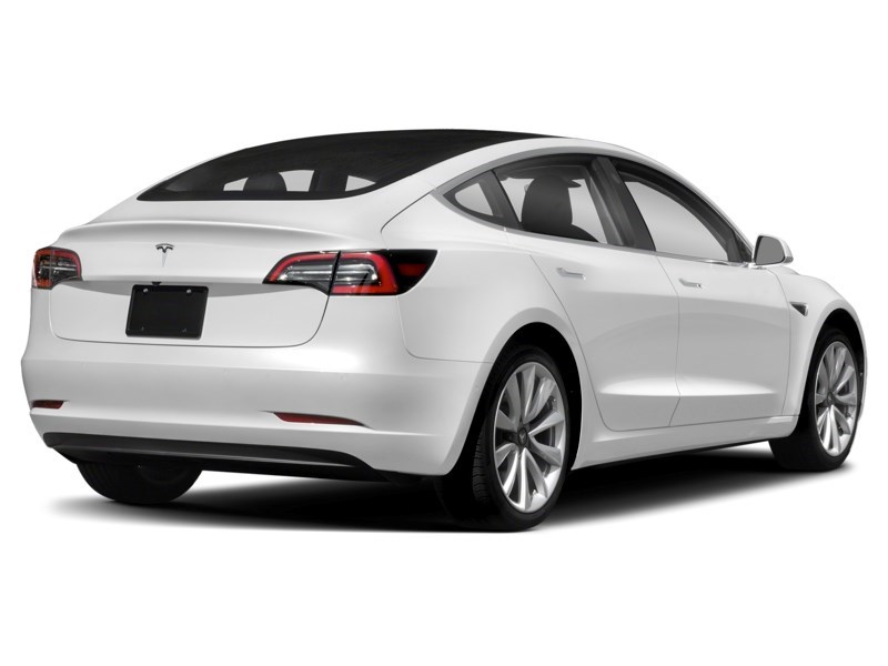 2020 Tesla Model 3 Standard Range Plus RWD Pearl White Multi-Coat  Shot 6