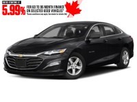 2021 Chevrolet Malibu 4dr Sdn LS w/1FL Mosaic Black Metallic  Shot 16