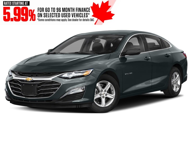 2021 Chevrolet Malibu 4dr Sdn LS w/1FL Shadow Grey Metallic  Shot 19