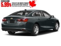 2021 Chevrolet Malibu 4dr Sdn LS w/1FL Shadow Grey Metallic  Shot 20