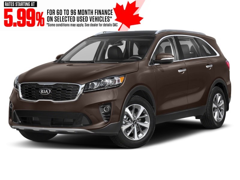 2019 Kia Sorento EX AWD Dragon Brown Metallic  Shot 10