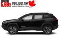 2020 Jeep Cherokee Trailhawk Elite 4x4 Diamond Black Crystal Pearl  Shot 5