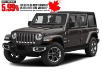 2020 Jeep Wrangler Unlimited Sahara 4x4 Granite Crystal Metallic  Shot 1
