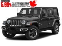 2019 Jeep Wrangler Unlimited Sahara 4x4 Black  Shot 4