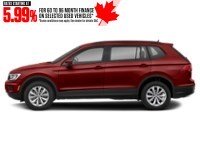 2020 Volkswagen Tiguan Trendline 4MOTION Ruby Red Metallic  Shot 5