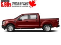 2023 Ford F-150 XL 4WD SuperCrew 5.5' Box Hot Pepper Red Tinted Clearcoat  Shot 74