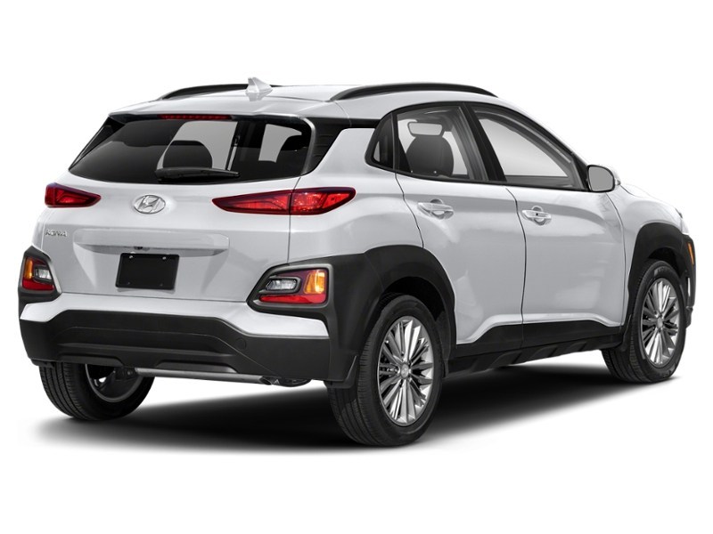 2020 Hyundai Kona 2.0L Luxury AWD Chalk White  Shot 6