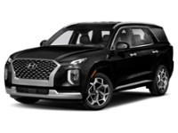 2021 Hyundai Palisade Ultimate Calligraphy 7-Passenger AWD Abyss  Shot 1