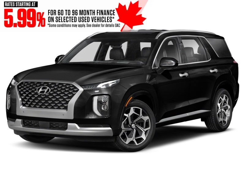2022 Hyundai Palisade Ultimate Calligraphy w/Beige 7-Passenger AWD Abyss Black  Shot 4