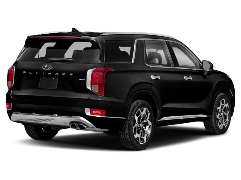 2021 Hyundai Palisade Ultimate Calligraphy 7-Passenger AWD Abyss  Shot 6