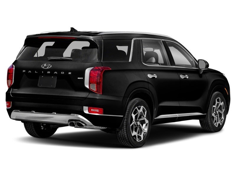 2021 Hyundai Palisade Ultimate Calligraphy 7-Passenger AWD Abyss  Shot 6