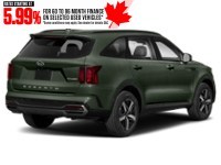 2021 Kia Sorento X-Line AWD Aruba Stone Green  Shot 6