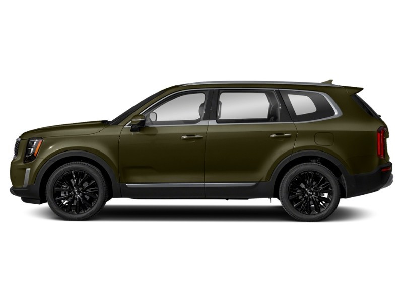 2020 Kia Telluride SX AWD Dark Moss  Shot 12