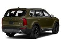 2020 Kia Telluride SX AWD Dark Moss  Shot 9