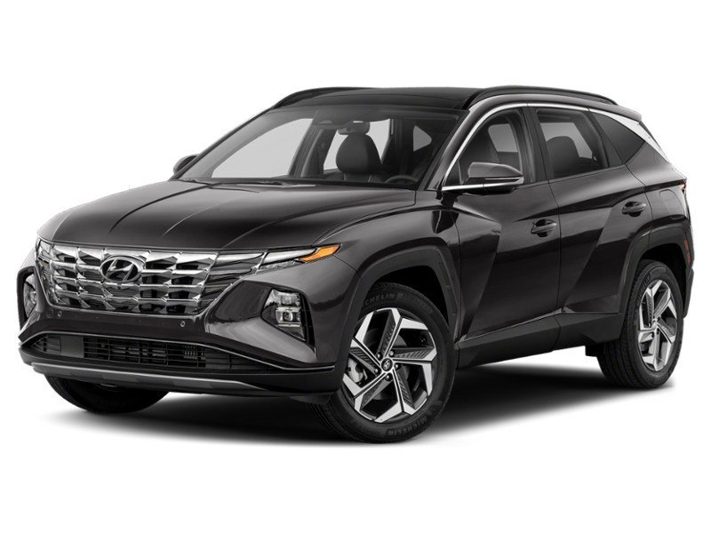 2023 Hyundai Tucson Hybrid Ultimate AWD Ash Black  Shot 4