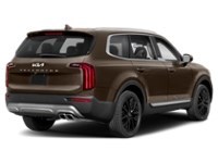 2022 Kia Telluride SX AWD Black Copper  Shot 6