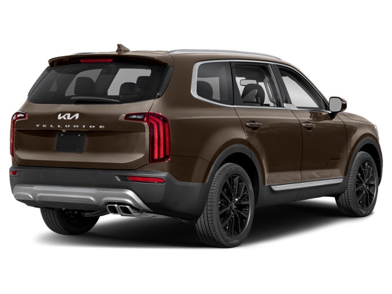 2022 Kia Telluride SX AWD Black Copper  Shot 6