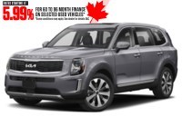 2022 Kia Telluride Nightsky AWD Everlasting Grey  Shot 28
