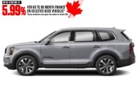 2022 Kia Telluride Nightsky AWD Wolf Grey  Shot 17