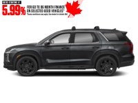 2025 Hyundai Palisade Urban 7-Passenger AWD Abyss Black  Shot 6