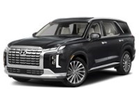 2024 Hyundai Palisade Ultimate Calligraphy w/Beige 7-Passenger AWD Abyss Black  Shot 4