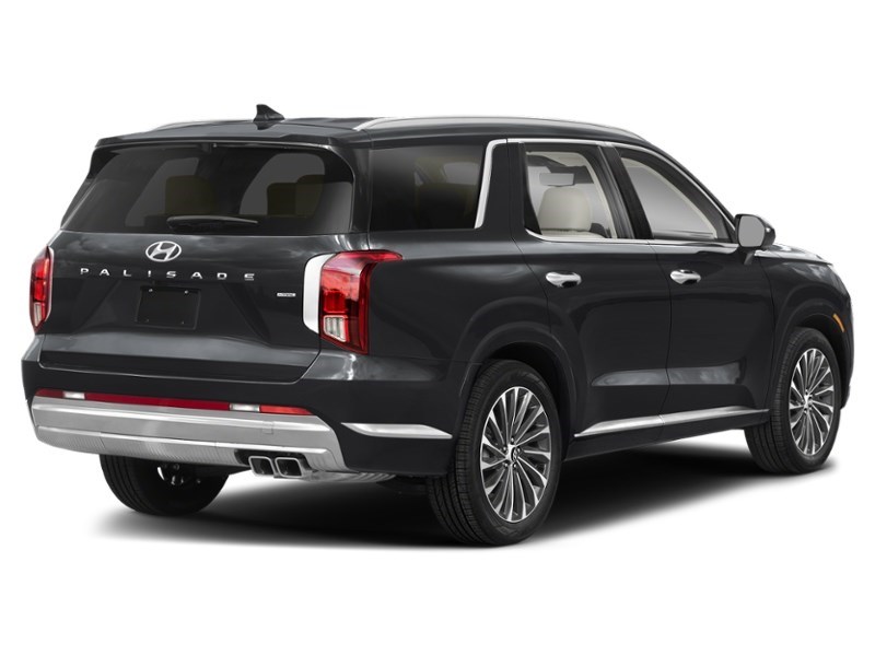 2024 Hyundai Palisade Ultimate Calligraphy w/Beige 7-Passenger AWD Abyss Black  Shot 6