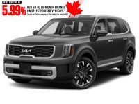 2023 Kia Telluride SX AWD Gravity Grey  Shot 34