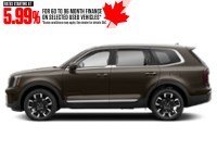 2023 Kia Telluride SX AWD Dark Moss  Shot 23