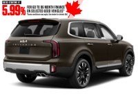 2023 Kia Telluride SX AWD Dark Moss  Shot 20