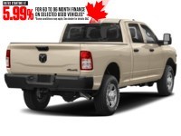 2023 RAM 2500 Tradesman 4x4 Crew Cab 6'4" Box Light Cream  Shot 6