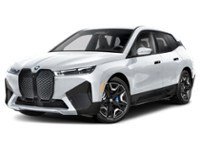 2023 BMW iX xDrive50 Sports Activity Vehicle Mineral White Metallic  Shot 7