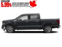2024 Ford F-150 XLT 4WD SuperCrew 5.5' Box Agate Black Metallic  Shot 5