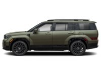 2025 Hyundai Santa Fe Ultimate Calligraphy AWD Rockwood Green  Shot 5