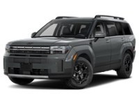 2025 Hyundai Santa Fe XRT AWD Hampton Grey  Shot 7
