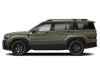 2025 Hyundai Santa Fe XRT AWD Rockwood Green  Shot 24