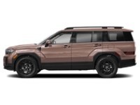 2025 Hyundai Santa Fe XRT AWD Earthy Brass  Shot 28